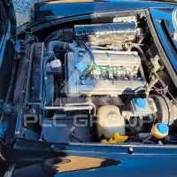 1985 Alfa Romeo Spider