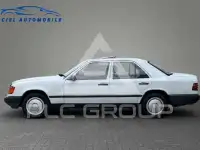 1987 Mercedes Benz 250