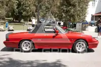 1987 Alfa Romeo Spider