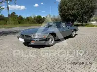 1990 Jaguar Unknown