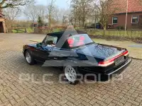 1991 Alfa Romeo Spider