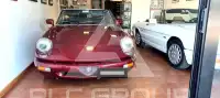1991 Alfa Romeo Spider