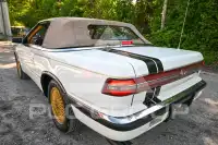 1991 Maserati Spyder Cam