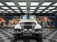 1993 Jeep Unknown