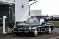 1993 Alfa Romeo Spider