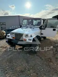 1994 Jeep WRANGLER