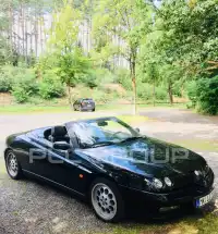 1996 Alfa Romeo Spider