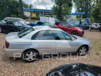 1999 Honda Accord