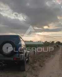 2001 Toyota LAND CRUISER