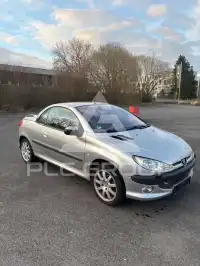 2001 Peugeot 206