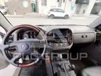 2002 Mitsubishi PAJARO