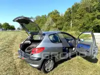 2002 Peugeot 206