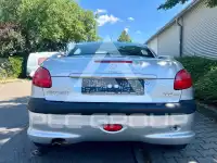 2002 Peugeot 206