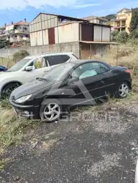 2002 Peugeot 206