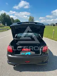 2002 Peugeot 206