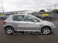 2002 Peugeot 307