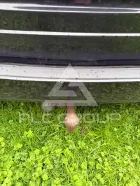 2002 Ford FOCUS