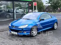 2003 Peugeot 206