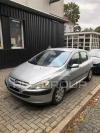 2002 Peugeot 307