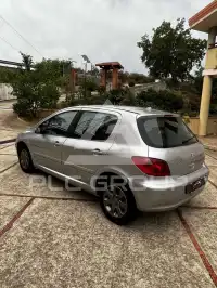 2003 Peugeot 307