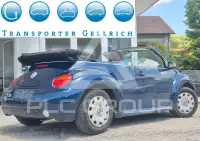 2003 Volkswagen BEETLE