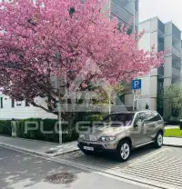 2004 BMW X5