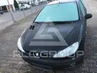 2004 Peugeot 206