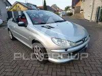2004 Peugeot 206