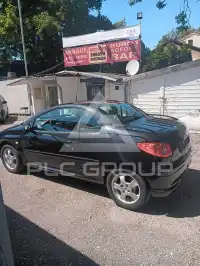 2004 Peugeot 206