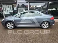 2004 Peugeot 307