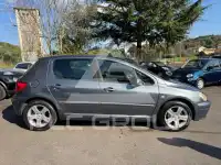 2004 Peugeot 307