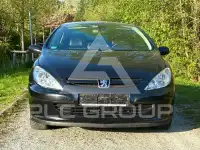 2004 Peugeot 307