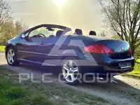 2004 Peugeot 307