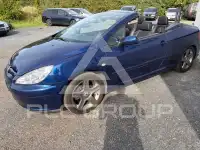 2004 Peugeot 307