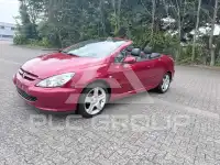 2004 Peugeot 307