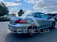 2004 Peugeot 307