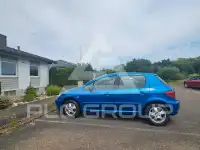 2004 Peugeot 307