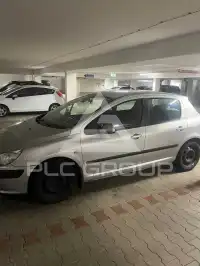 2004 Peugeot 307