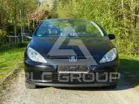 2004 Peugeot 307
