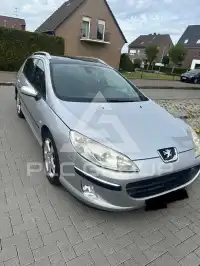 2004 Peugeot 407