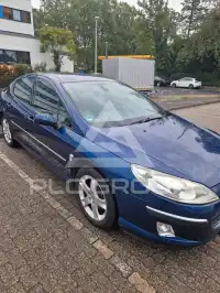 2004 Peugeot 407