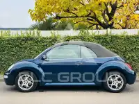 2004 Volkswagen BEETLE