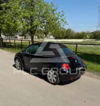 2004 Volkswagen BEETLE