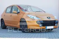 2005 Peugeot 307