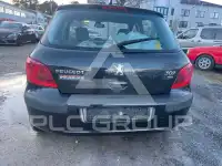 2005 Peugeot 307