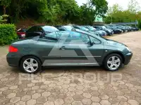 2005 Peugeot 307
