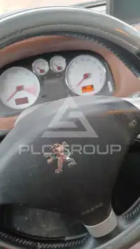 2005 Peugeot 307