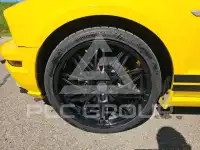 2005 Ford MUSTANG