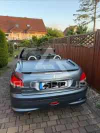 2006 Peugeot 206