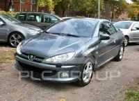 2006 Peugeot 206